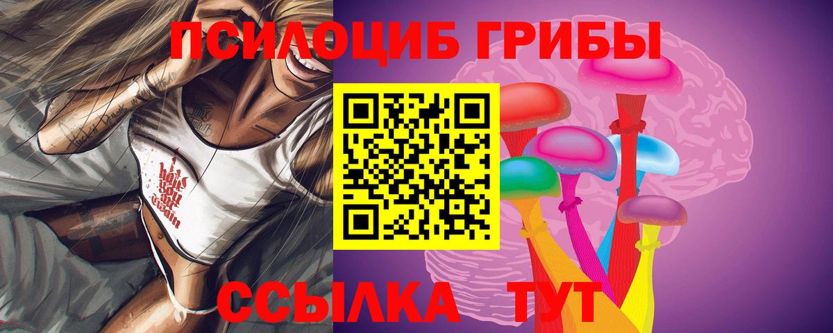 Галлюциногенные грибы Cubensis Березники